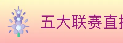 五大联赛直播 logo